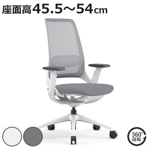 ItBX`FA ʍ 45.5`54cm I|t nO`FA i @l [N`FA p\R`FA bLO@\  A[Xg bV o[T|[g wK֎q ׋