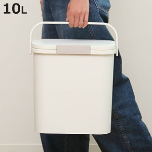 ゴミ箱 運べる防臭ペール 10L パッキン付き スリム ロック付き ( ごみ箱 10リットル ふた付き 持ち運び ニオイ ペット 赤ちゃん おむつ 分別 防臭 オムツ 生ゴミ コンパクト 小さい 臭わない