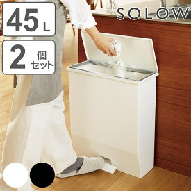 【レビュー特典付き】 ゴミ箱 45L 同色2個セット SOLOW ペダルオープンワイド （ ごみ箱 45リットル ソロウ 同色 2個 セット ペダル式 ふた付き 棚下 奥行23 カウンター下 分別 スリム キッチン 角型 ワイド シンプル おしゃれ ）【3980円以上送料無料】