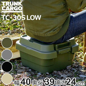 [{bNX gNJ[S LOW TC-30S 18L 40×s39×24cm i  O X^bLO [ {bNX P[X 䔠 t^t Rei H vX`bN AEghA t 