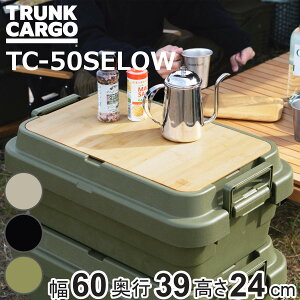 ���[�{�b�N�X �g�����N�J�[�S EASY GRIP 30L ��䔠 TC-50SE LOW �i ��60×���s39×����24cm ����� ���O �X�^�b�L���O ���[ �{�b�N�X �P�[�X �t�^�t�� �R���e�i �H� �v���X�`�b�N �A�E�g�h�A ������
