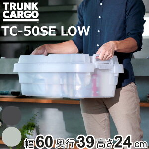 ���[�{�b�N�X �g�����N�J�[�S EASY GRIP �����i 30L TC-50SE LOW �i ��60×���s39×����24cm �N���A�^�C�v �N���A ���X ����� ���[�P�[�X ���[ �{�b�N�X ��䔠 �t�^�t�� �P�[�X �X�g�b�N �X�g�b�J�[ �v