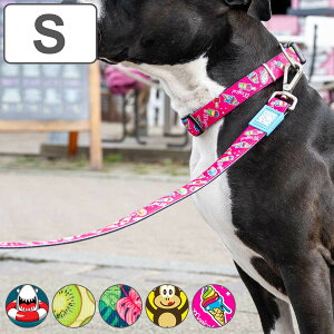 [h  S }bNX[[ ^ 1.2m i p p[h U ybgp  hbO y  킢 ȒP _炩 Sy K @\ ybg ybgpi jy3980~