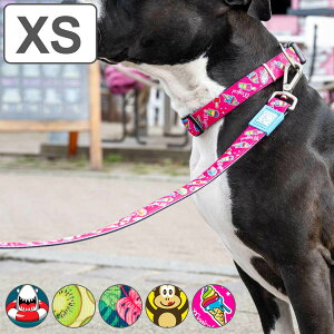 [h ^ XS }bNX[[ 1.2m  i p p[h U ybgp  hbO y  킢 ȒP _炩 Sy K @\ ybg ybgpi jy3980~