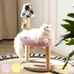 Lbg^[ ~It@ XNb`[_utA ~j L ybg i MewooFun u w L^[ xbh ܂Ƃ lV  Ⴂ Vя qL  S  ˂ LObY 