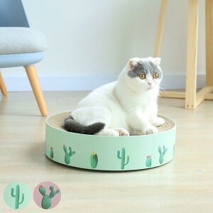 ܂Ƃ L MewooFun T[NXNb`[ i ܌ ߂Ƃ Lp ~It@ ܂Ƃ\t@ i{[ XgX V  킢 ܖ _{[ xbh \t@ Q ˂ L