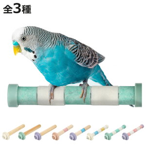 ~܂  [v ofB Ebhp[` NI[cp[` i p~܂ Ƃ܂ ̂ ObY ybgpi  Ƃ VR P[W CR  ybg XgXy ^ j