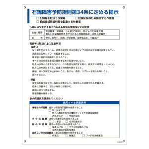 ΖȏQ\hK֌WW ėp^Cv u ΖȏQ\hKW v 60×45cm i Ζ  Ŕ ӎ Ǌ| W ӊN SW \v[g Ɩp Spi SObY S pi 