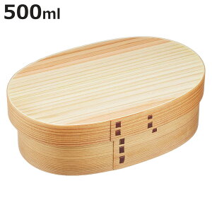 ϕٓ 500ml fB[X SALUS i ٓ ؐ Ȃ ϕٓ ٓ ٓ ^ i 킢  `{bNX Vv d؂t jy3980~ȏ㑗z