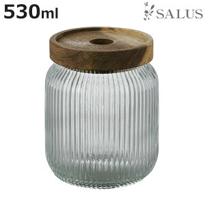 �ۑ��e�� �A�J�V�A �L���j�X�^�[ M 530ml �K���X SALUS �i �Z�C���X �K���X�e�� ���� ���ۑ� �H�i�ۑ� �ۑ� �e�� 530ml �t�[�h�R���e�i�[ �ی^ �K���X�� �V�R�� �W ���u ���C�� �������� ��������