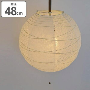 y_gCg a  cCzCg 2 48cm i Ɩ V aƖ 2 Ɩ 2y_g LED dC y_gƖ CeA V[OCg jy3980~ȏ㑗z