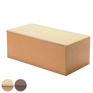 􃆃jbg nC^Cv 120×s60×45cm [tx` i  オ [ x` [{bNX @育 a_ a Vv jy3980~ȏ㑗z