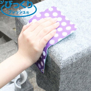  N[i[ т肨̉ꗎƂ i  | RpNg ꗎƂ   Q | Α| 斁 ~ ފ |pi jy3980~ȏ㑗z