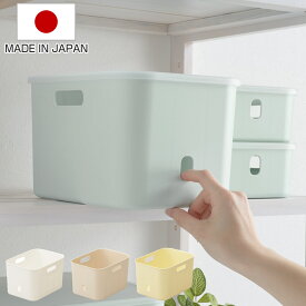 収納ケース ナチュラ インボックス ソフト スリムM 幅26×奥行19×高さ16cm （ 収納ボックス ケース ボックス 収納 小物入れ 小物収納 持ち手 取っ手 付き 小物ケース カラーボックス インナーボックス ハーフ 日本製 ）【3980円以上送料無料】