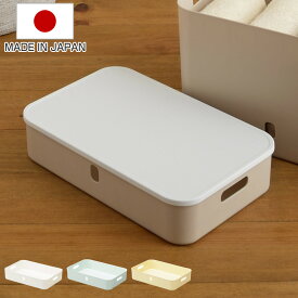 収納ケース ナチュラ インボックス ソフト ワイドS 幅38×奥行26×高さ8cm （ 収納ボックス ケース ボックス 収納 小物入れ 小物収納 持ち手 取っ手 付き 小物ケース カラーボックス インナーボックス 浅型 フル 日本製 ）【3980円以上送料無料】