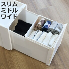 コンビネーションケース トレー 収納ケース 専用トレー （ インナートレー オプション パーツ 専用 収納 小物 小物入れ 小物収納 小物ケース インナーボックス トレイ ケース ボックス 仕分け 整理整頓 整理 整頓 片付け ）【3980円以上送料無料】
