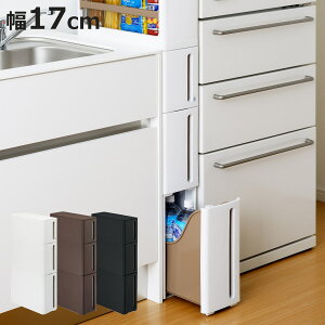 Ԏ[ XgeB hA[B 3i 17cm vX`bN Rt i i Lb` [ Ԏ[ o  Lb`[ o 17cm [XgbJ[ Lb`XgbJ[ X