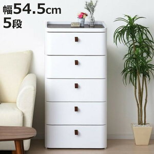 `FXg ^X o[Vu ؐV A[XzCg 5i 54.5cm i { i [P[X vX`bN [ o Bg[t ߗގ[ rO[ ߑP[X [{b