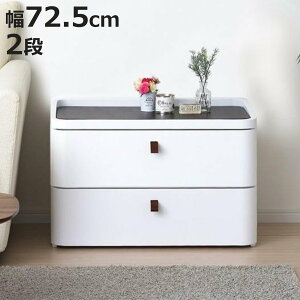 `FXg ^X o[Vu ؐV A[XzCg 2i 72.5cm i { i [P[X vX`bN [ o Bg[t ߗގ[ rO[ ߑP[X [{b