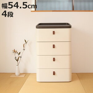 ߑP[X vX`bN`FXg ChA[ 4i 54.5×s41×87.5cm i [P[X [ o Bg[t { i ߗގ[ rO[ [{bNX vX`