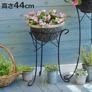 v^[X^h fR[VX^h 44cm i t[X^h ԑ  t[ X^h X`[ AؔX^h u |  v^[  jy3980~ȏ㑗