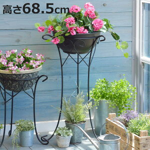 v^[X^h fR[VX^h 68.5cm i t[X^h ԑ  t[ X^h X`[ AؔX^h u |  v^[  jy3980~ȏ