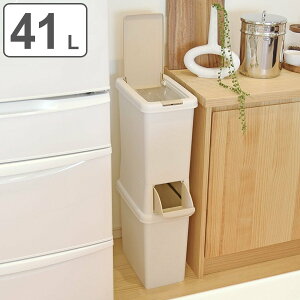 ゴミ箱 41L 分別 二段 ダストボックスファイン スリム ( ごみ箱 41リットル 縦型 2分別 ふた付き プッシュ式 省スペース シンプル ダストボックス 袋止め付き 袋が見えにくい キッチン ) 【39
