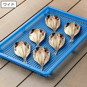 ChoXPbg 77×50.5cm i  oXPbg JS   U  p   vX`bN  Ђ  hCt[c ~ ~   ʕ ۑ j y3980