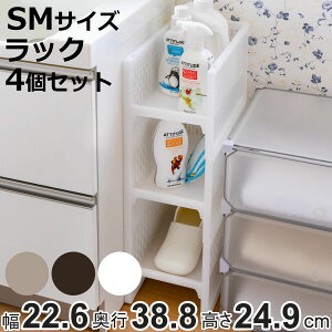 bN SM 22.6×s38.8×24.9cm e-bN ܎[ F4Zbg i [bN ybg{g [ Lb`XgbJ[ Ԏ[ ybg{g[ ςݏd vX`bN Lb`