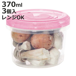 保存容器 370ml エブリーパック NO.2 浅型 3個入り ( 食品保存容器 プラスチック容器 フードストッカー 電子レンジ対応 冷蔵 プラスチック製保存容器 保存ケース 作り置き )【3980円以上送料