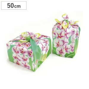 C~ ٓ R ȏӂ낵 Ӓ 50cm i ٓ  ӂ낵 NX C~ { }`NX  ٓ yY ubNJo[ eBbVJo[ bsO 