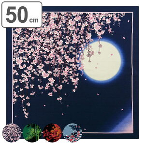 C~ ٓ 50cm  ȏӂ낵 {̎lG i C~ ӂ낵 ٓ 50Z` `NX a  { ٓ  ٓ C~ a yY }`NX ^yXg
