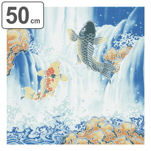 C~ `NX ٓ 50cm  ȏӂ낵 ̑o i C~ ӂ낵 ٓ 50Z` a  { ٓ  ٓ C~ a yY }`NX ^yXg