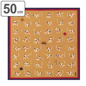 C~ `NX ٓ 50cm   ӂ낵 ol\ i C~ ӂ낵 ٓ 50Z` a  { ٓ  ٓ C~ a yY }`NX ^y