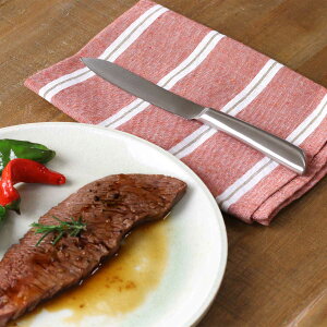 ステーキナイフ 22.5cm 濃州正宗作 ステンレス ( 食洗機対応 カトラリー ナイフ ステンレス製 ステーキ 肉料理 平刃 日本製 おしゃれ )【3980円以上送料無料】