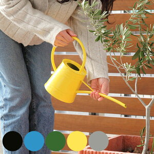  K[fjO 1.1L 1.1bg ubN i WE 傤 @JI } U    ϗtA sb`[  x_ | K[f  O ׌ jy3980~