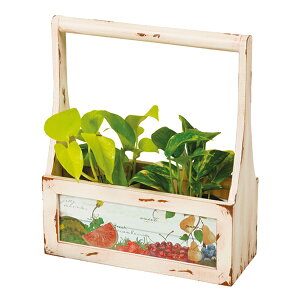 ガーデニング ガーデンボックス 幅37×奥行12×高さ37cm ( ガーデニング用品 園芸用品 ガーデン雑貨 園芸 インテリア 庭 箱 フラワーポット 鉢 プランター 雑貨 オブジェ 置物 ディスプレイ 小