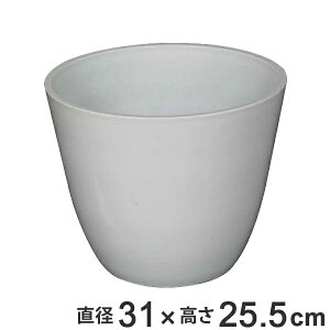 玄関 鉢植え おしゃれの人気商品 通販 価格比較 価格 Com 玄関 鉢植え おしゃれの人気商品 通販 価格比較 価格 Com