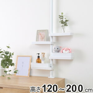 yr[Ttz ˂ XbN ʑ 120`200cm i ˂胉bN X bN [ ˂_ ς zCg Ԏ[  ςI ʑ Lb` g