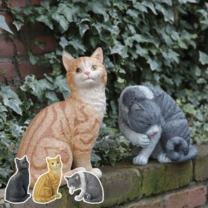 �K�[�f���I�[�i�����g �����܂��˂� �i �������� �I�[�i�����g �G�N�X�e���A �K�[�f�� �u�� ���� ������� �Z�g�N���t�g �j �y3980�~�ȏ㑗�������z