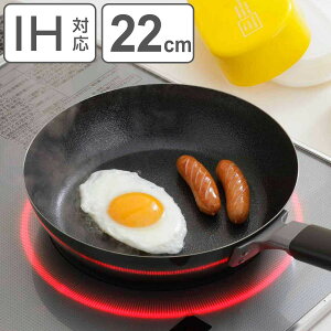 tCp 22cm IHΉ S t@Co[CH i KXΑΉ uߓ ߓ StCp 22Z` StCp t@Co[C S j y3980~ȏ㑗z