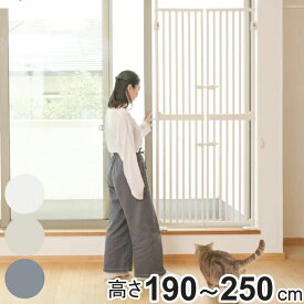 ペットゲート 猫 にゃんドア ハイタイプ 突っ張り （ ゲート 柵 ゲージ ドア付き 扉式 ダブルロック 脱走防止 対策 ペット用 犬 シンプル フェンス 両開き バリアフリー 玄関 キッチン ベランダ ）【3980円以上送料無料】