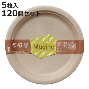 M Nv[g 23cm 600 5×120Zbg Mugino i M ی^ 23Z` y[p[v[g v[g  v[g ĝăv[g M ȈՐH e jy3980~ȏ㑗z