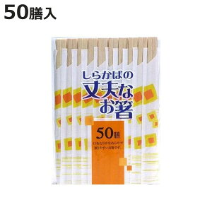 蔢 i炩΁j̏vȂ 50V i 蔢 ΂ ΂ ĝ   ͂ nV BBQ AEghA p[eB[ Lv  jy3980~ȏ㑗z