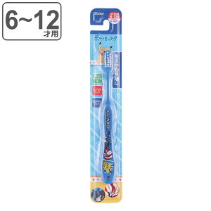 uV q wp 6`12 |PbgX^[ i sJ`E |P qpuV qǂpuV wpuV 15.5cm 炩  ݂  H w