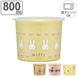 ۑe 800ml ^b`V[e M i vX`bN  { dqWΉ [~ Xk[s[ SNOOPY LN^[ Hi ۑ e vX`bNe PEANUTS jy3980~ȏ㑗