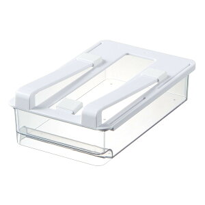 冷蔵庫収納 冷蔵庫棚下引き出しトレー スリム ベーシック ( プラスチック 冷蔵庫収納トレー 冷蔵庫トレー 収納トレー 引き出しトレー 冷蔵庫 収納 トレー トレイ ケース 冷蔵室 整理 調味