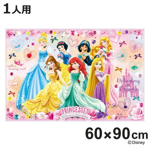 W[V[g 60×90cm vZX24 STCY i vZX W[}bg sNjbNV[g ct ۈ牀  qp lp sNjbN}bg LbY ~ ^ L jy3980~ȏ