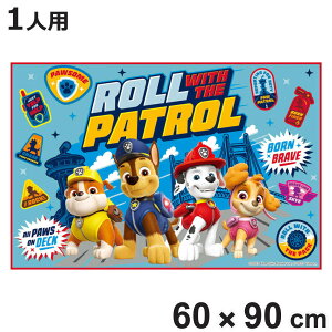 W[V[g 60×90cm pEpg[24 STCY i pEpg[ W[}bg sNjbNV[g ct ۈ牀  qp lp sNjbN}bg LbY ~ ^ L jy39