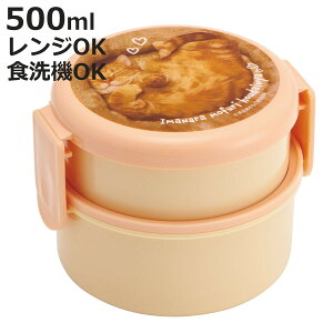 ٓ 2i 500ml Rۊی^`{bNX2i YƂȂ i ˂ H@Ή R ی^ `{bNX WΉ i { WOK H@OK ٓ ٓ tH[Nt  AG RۉH